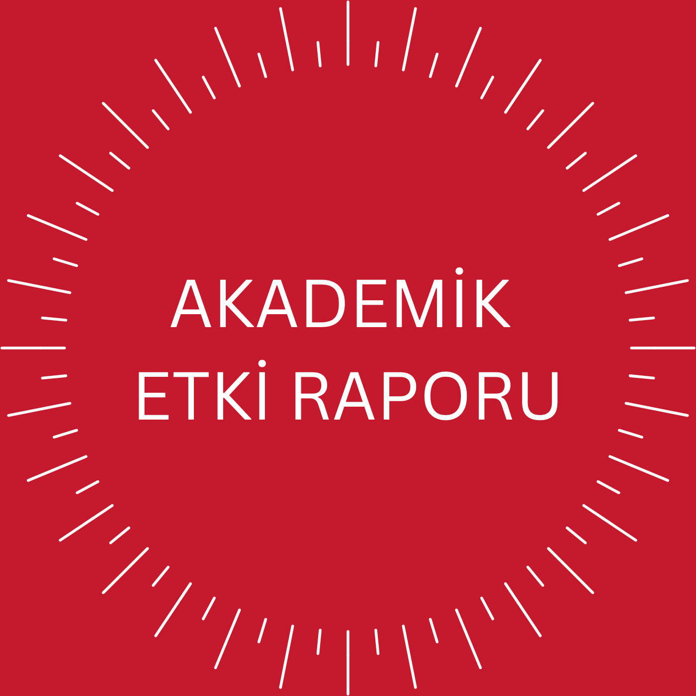 Akademik Etki Raporu