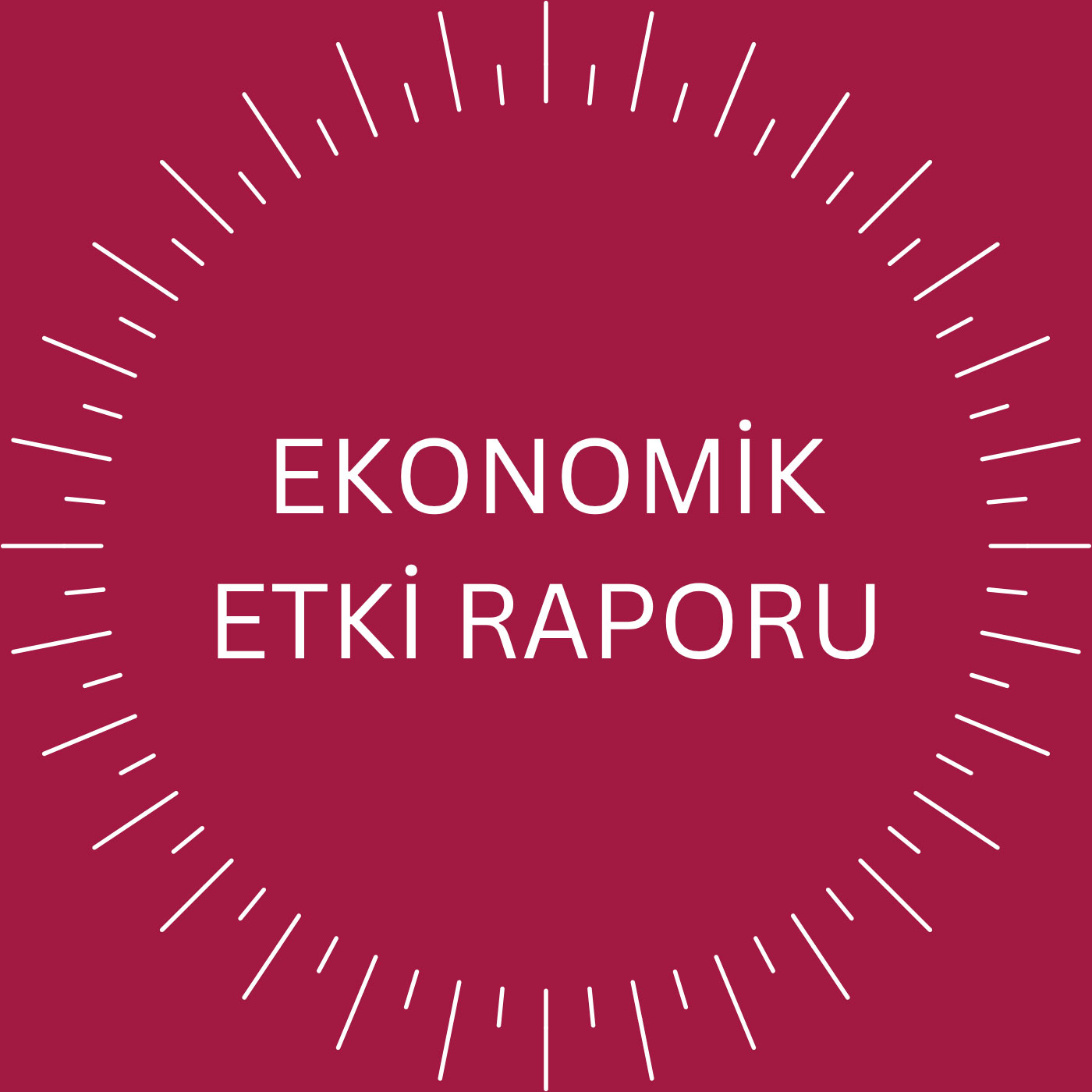 Ekonomik Etki Raporu