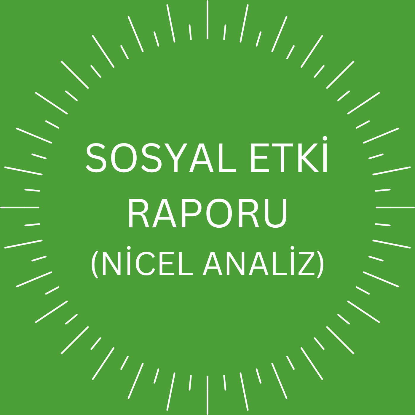 Sosyal Etki Raporu Nicel Analiz